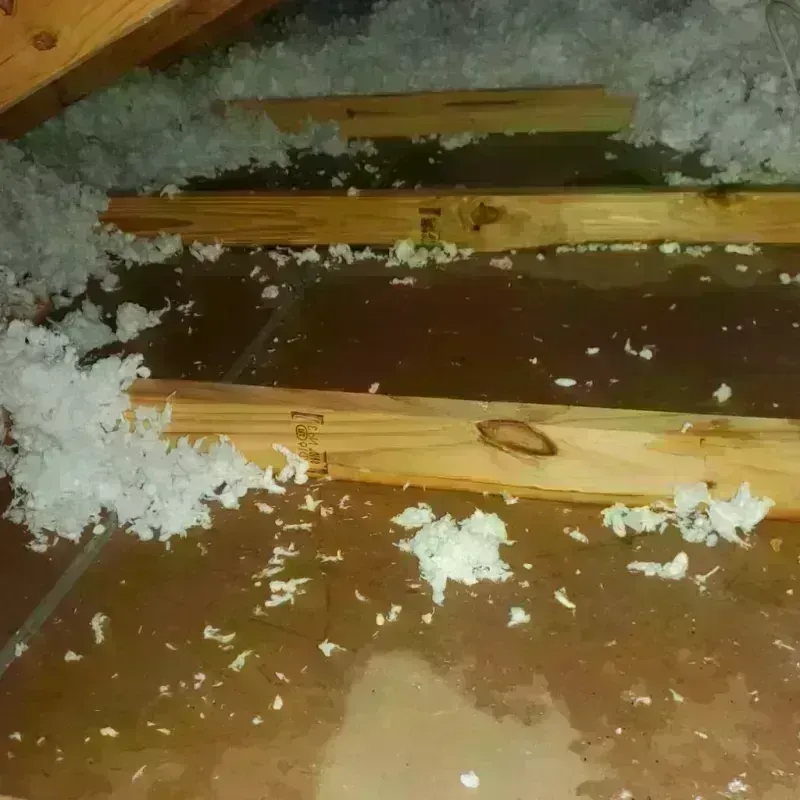 Attic Water Damage in Ector County, TX