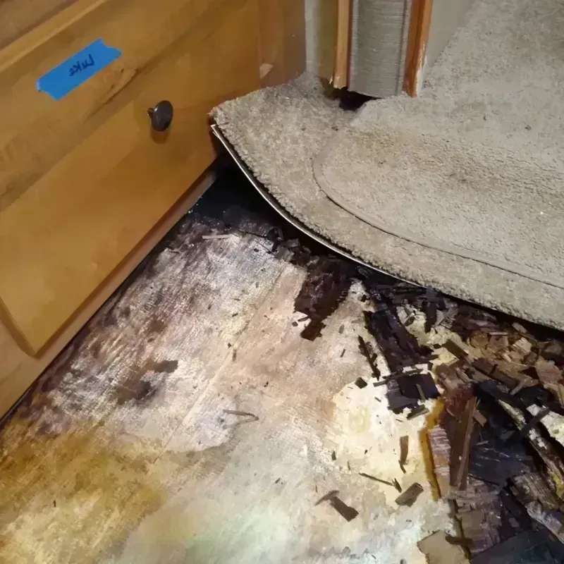 Wood Floor Water Damage in Ector County, TX